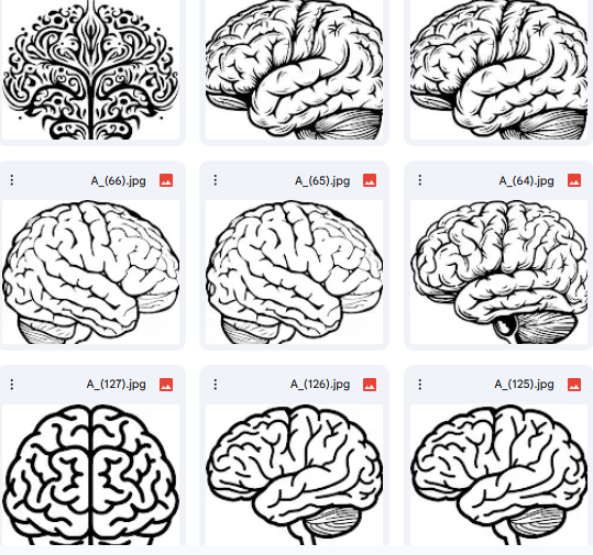 خارطة الإبداع: من التعقيد التشريحي إلى الفن الزخرفي – رسومات المخ Vector (15 تصميم)