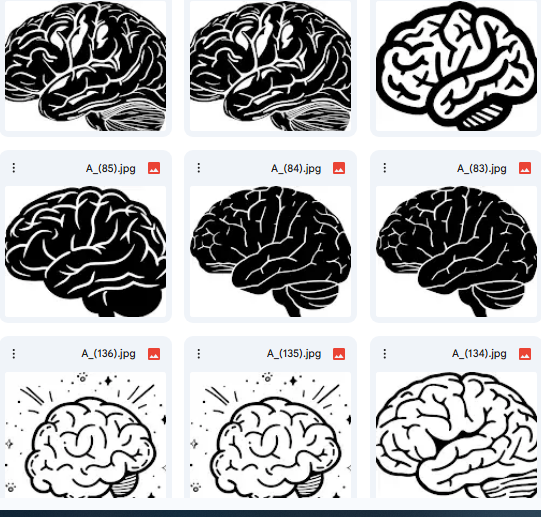 تراكيب المخ بفن زخرفي (ماندالا) – رسومات Vector للتلوين (15 تصميم)